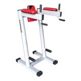 Paralela Abdominal Profissional Lander- Hornet Fitness