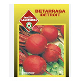 Semillas Certificadas Hortaliza Beterraga Detroit Huerto