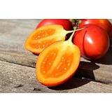 Semillas De Tomate De Arbol 30