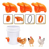 Kit 9 Bocal Para Comedouro Tratador Galinhas Aves Ração