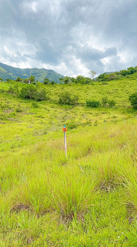 Venta De Lotes Urbanizados En Liborina Antioquia - Imagen 2