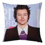 Harry Styles Cojin 40x40cm Almohada As If Was 02