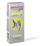 Anti Pulgas Bravecto Plus Para Gatos De 1,2 Até 2,8kg