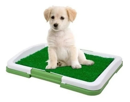 Baño Para Perros Mascotas Ecologico Educador Puppy Potty Pad