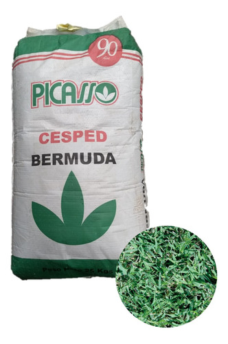 Semillas De Césped Picasso Bermuda (chipica) 25kg