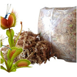 Musgo Sphagnum Sustrato Para Carnívoras, Orquideas (5 Kilos)