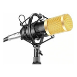Microfone Condensador + Pop Filter + Braço Articulado Bm 800