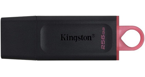 Memoria Usb Kingston Datatraveler Exodia 256gb Dtx/256gb