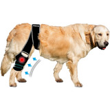 Buddy Brace - Rodillera Para Perro, Soporte De Pierna De Per