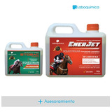 Enerjet X 5 Lts + Stobac Tónico X 1 Lts + Asesoramiento