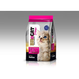 Br For Cat Gatitos 1 Kg