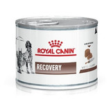 Royal Canin Recovery Perro/gato Lata 195 Grx 12 Unid.
