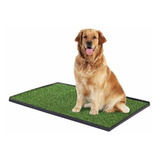 Baño Para Perro Grande, Alfombra Pasto Sintetico, Mascota