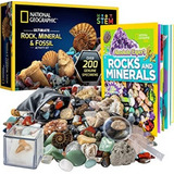 Kit De Colección De 200 Rocas, Fósiles Y Minerales Reales