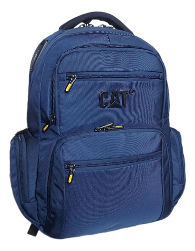 Morral Cat