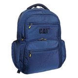 Morral Cat