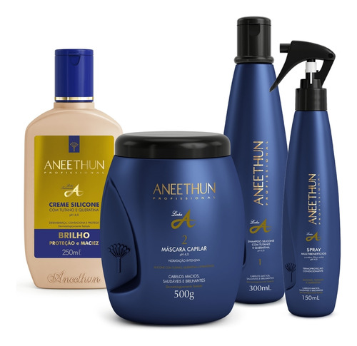 Aneethun Kit Linha A  Hidratação Imediata 4 Produtos