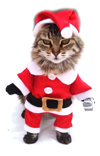  Disfraz Gato Mascota Papa Noel Cosplay Pet