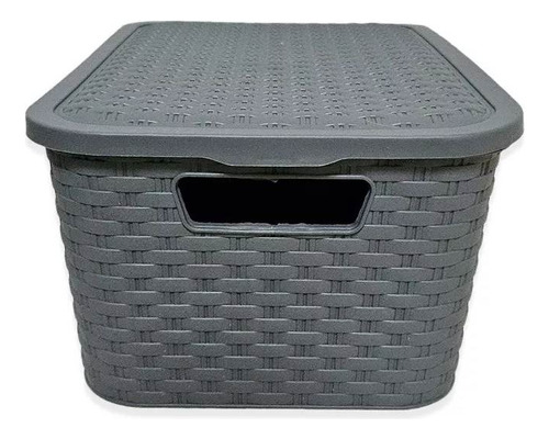 Caja Organizadora Con Tapa Símil Rattan Chico 