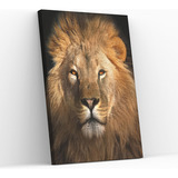 Quadro Leão Dourado Selvagem Animais Selva Tecido  100x150cm