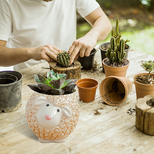 Vaso De Cerâmica Para Plantas Suculentas N Owl Pot Cactus Po