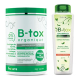 Botox Reparo Absoluto Sem Formol 1kg Fattore Orgânico Btox