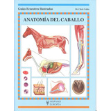 Anatomia Del Caballo - Dr. Chris Colles