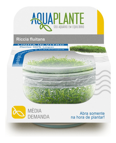 Planta Aquaplante Riccia Fluitans (carpete)