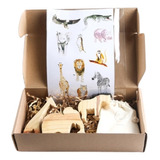 Caja Kit Animales De Selva 3 Piezas + Stickers + J Memoria