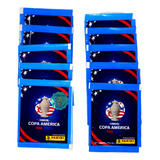 Copa America Usa2024 Panini 25 Sobres (125 Estampas) Oficial