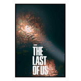 Cuadro Poster Premium 33x48cm The Last Of Us Abstracto