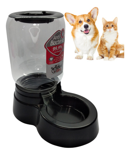 Alimentador Automático Cães Gatos E Outros Pets Raça Pequena
