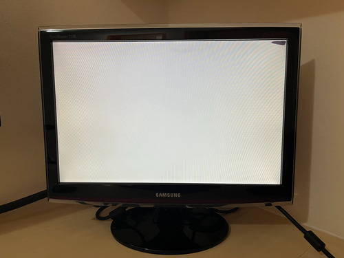 Monitor Samsung Syncmaster T190 19'' - Defeito: Dead Pixels 