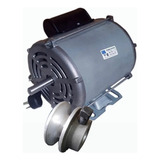 Motor Weg 3/4 Hp Para Hormigoneras Trompitos Mas Polea