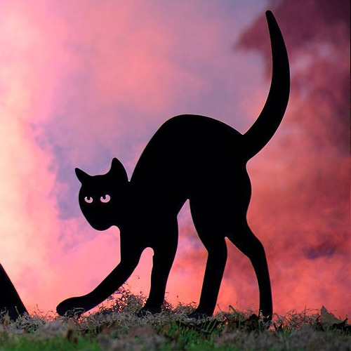 Decoraciones De Halloween, Silueta De Bruja Y Gato Negro