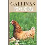 Gallinas Ponedoras: Todo Lo Que Se Necesita Para Criar Una G