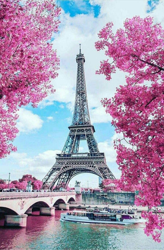 Kit Pintura Diamantes Bordado Floreciente París Torre Eiffel