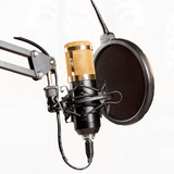 Microfono Condensador Profesional Grabacion Brazo Tijera Color Dorado