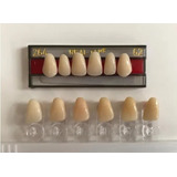 Dentes Resina Avulsos Placa. Postiços, Provisórios Superior