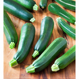 Oferta! 10 Semillas Zapallo Italiano Black Zucchini  