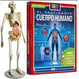 El Fascinante Cuerpo Humano Libro+maqueta Lexus Original