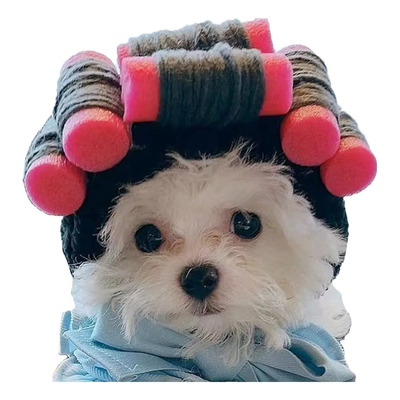 Lindo Sombrero Rizado Divertidas De Disfraz Para Mascota | Meses sin interés