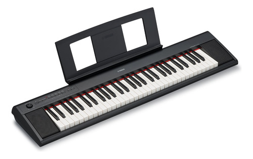 Teclado Yamaha Np12 Piaggero