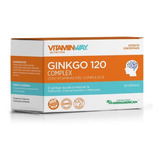 Ginkgo 120 Complex X 60 Cáps Vitamin Way - Pack X 3 Cajas