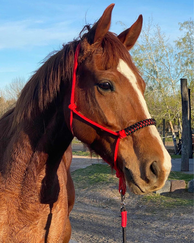 Bozal De Soga Náutica Hociquera Reforzada-para Caballo