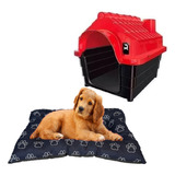 Cama Pet Quadrada Fibra Acolchoada + Casinha Dog Pet Shop N4