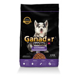 Alimento Ganador Premium Cachorro 4kg