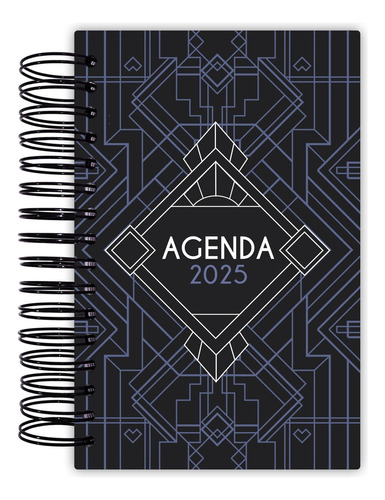 Agenda Diaria 2025 Tefi 1 Página Por Día Oficina Y Negocios