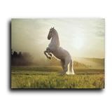 Cuadro Decorativo Canvas Recamara 50x60 Caballo Salto