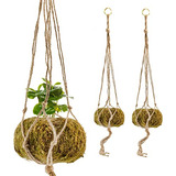 Jardineras Colgantes Kokedama (juego De 3, Diámetro De...